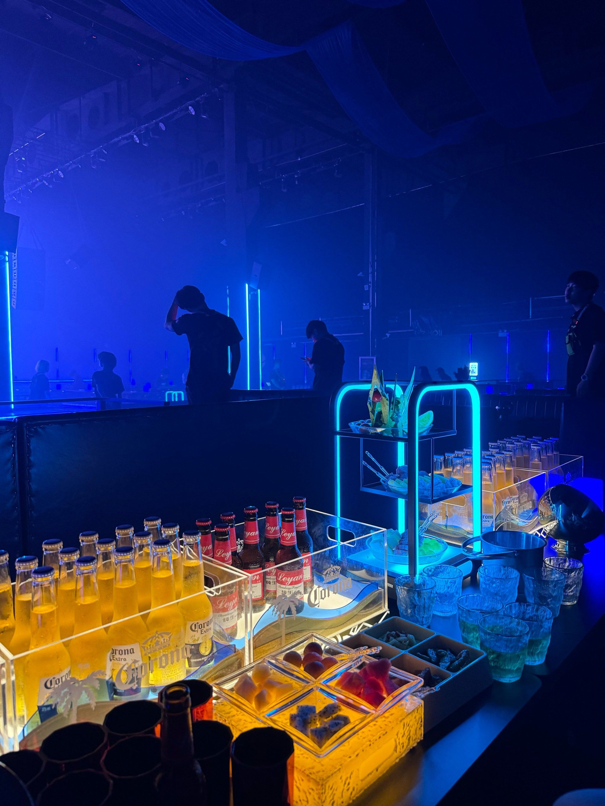 资阳商务ktv一小时价格多少-雁江区ktv预订